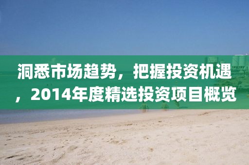 洞悉市場(chǎng)趨勢(shì)，把握投資機(jī)遇，2014年度精選投資項(xiàng)目概覽