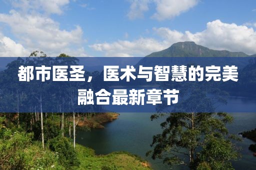 都市醫(yī)圣，醫(yī)術(shù)與智慧的完美融合最新章節(jié)