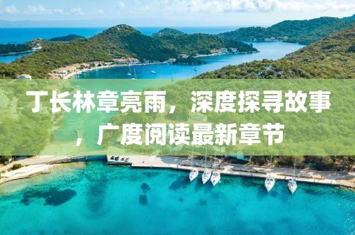 丁長(zhǎng)林章亮雨，深度探尋故事，廣度閱讀最新章節(jié)