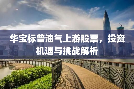 華寶標普油氣上游股票，投資機遇與挑戰(zhàn)解析