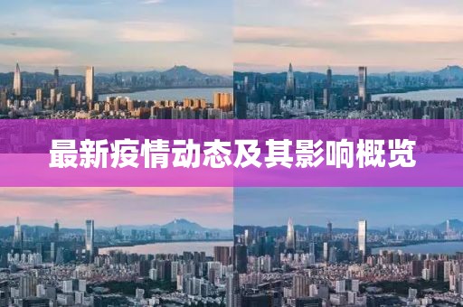 最新疫情動(dòng)態(tài)及其影響概覽