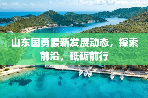 山東國(guó)勇最新發(fā)展動(dòng)態(tài)，探索前沿，砥礪前行