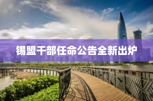 錫盟干部任命公告全新出爐