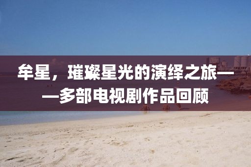 牟星，璀璨星光的演繹之旅——多部電視劇作品回顧