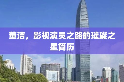 董潔，影視演員之路的璀璨之星簡歷