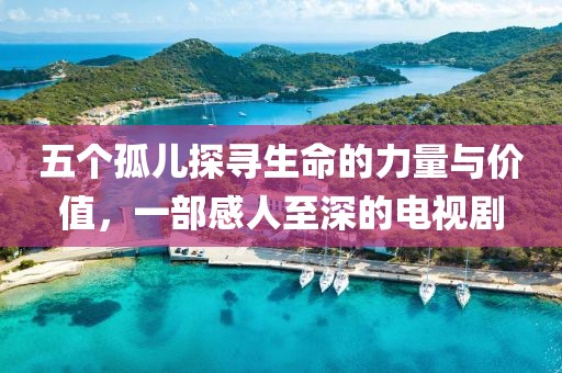 五個(gè)孤兒探尋生命的力量與價(jià)值，一部感人至深的電視劇