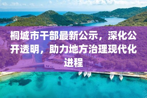 桐城市干部最新公示，深化公開透明，助力地方治理現(xiàn)代化進程