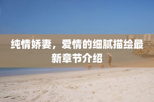 純情嬌妻，愛(ài)情的細(xì)膩描繪最新章節(jié)介紹