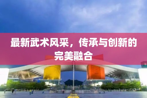 最新武術(shù)風(fēng)采，傳承與創(chuàng)新的完美融合