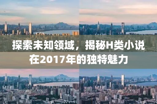 探索未知領(lǐng)域，揭秘H類小說在2017年的獨(dú)特魅力