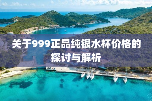關(guān)于999正品純銀水杯價(jià)格的探討與解析