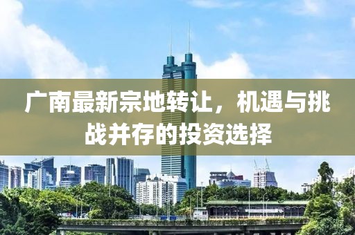廣南最新宗地轉(zhuǎn)讓，機(jī)遇與挑戰(zhàn)并存的投資選擇