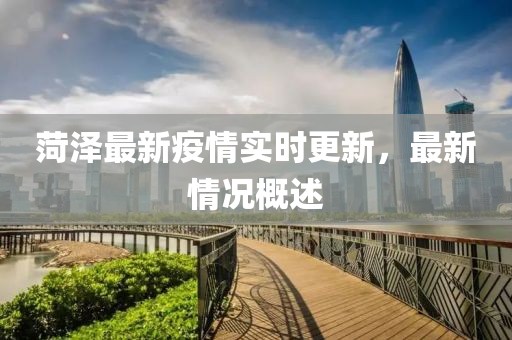菏澤最新疫情實時更新，最新情況概述