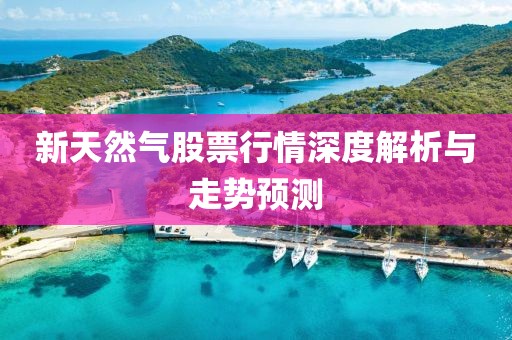 新天然氣股票行情深度解析與走勢預測