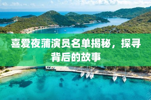 喜愛夜蒲演員名單揭秘，探尋背后的故事