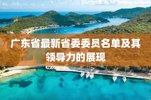 廣東省最新省委委員名單及其領(lǐng)導(dǎo)力的展現(xiàn)