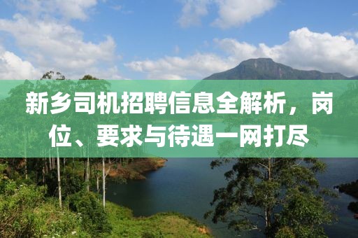 新鄉(xiāng)司機招聘信息全解析，崗位、要求與待遇一網(wǎng)打盡