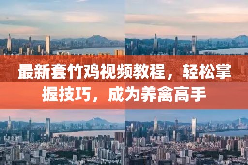 最新套竹雞視頻教程，輕松掌握技巧，成為養(yǎng)禽高手
