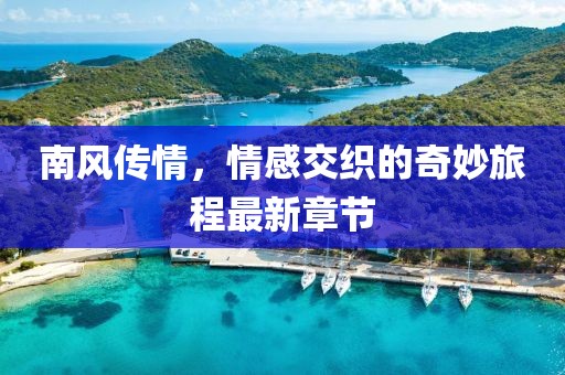 南風(fēng)傳情，情感交織的奇妙旅程最新章節(jié)