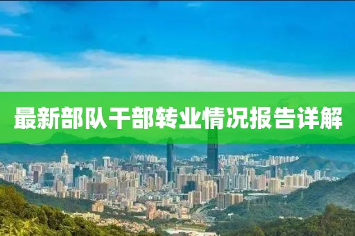 最新部隊(duì)干部轉(zhuǎn)業(yè)情況報(bào)告詳解