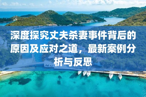深度探究丈夫殺妻事件背后的原因及應(yīng)對(duì)之道，最新案例分析與反思