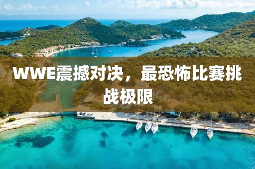 WWE震撼對(duì)決，最恐怖比賽挑戰(zhàn)極限