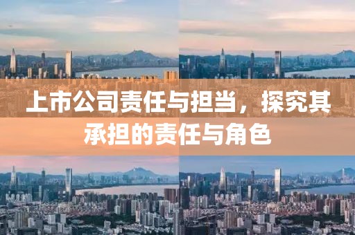 上市公司責任與擔當，探究其承擔的責任與角色