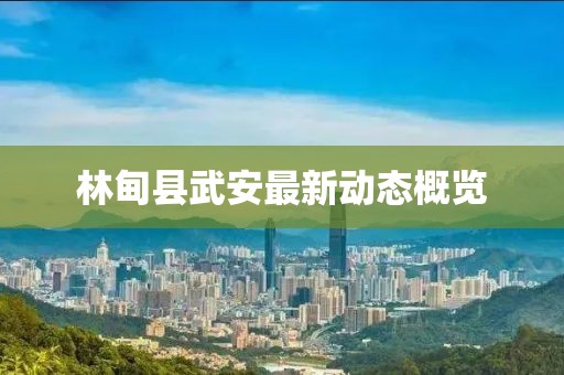 林甸縣武安最新動態(tài)概覽