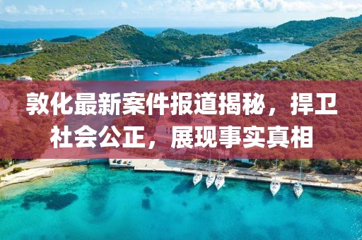 敦化最新案件報道揭秘，捍衛(wèi)社會公正，展現(xiàn)事實真相