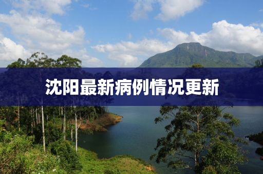 沈陽(yáng)最新病例情況更新