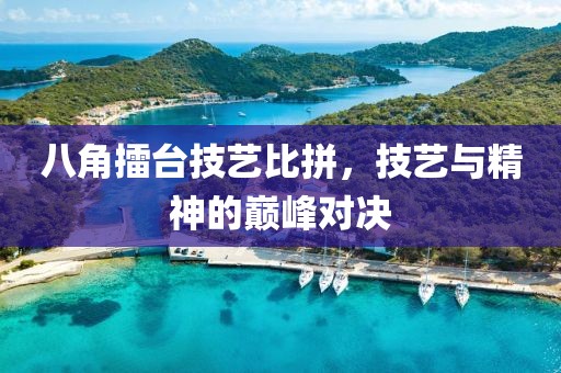 八角擂臺技藝比拼，技藝與精神的巔峰對決
