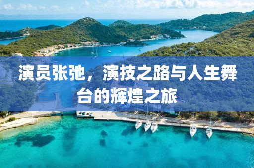 演員張弛，演技之路與人生舞臺的輝煌之旅