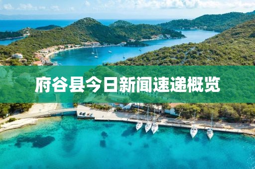 府谷縣今日新聞速遞概覽