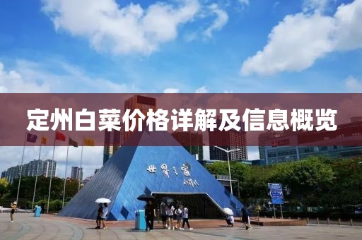 定州白菜價格詳解及信息概覽