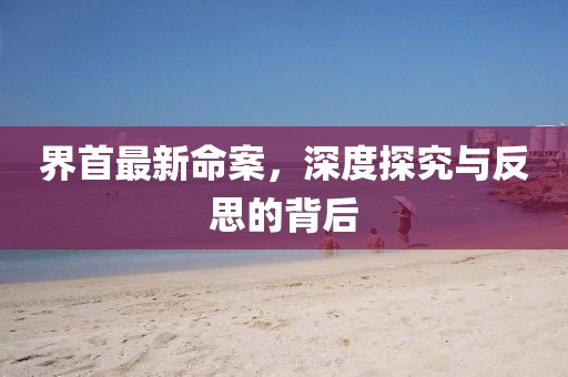 界首最新命案，深度探究與反思的背后