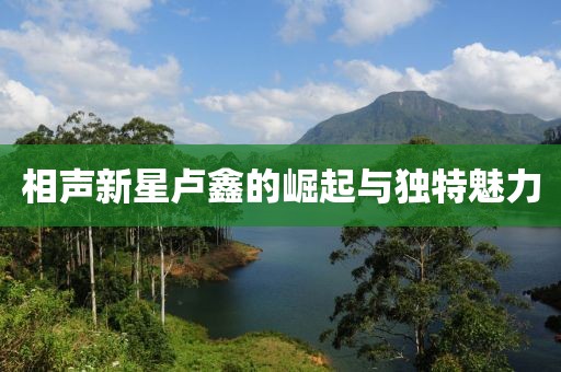 相聲新星盧鑫的崛起與獨(dú)特魅力
