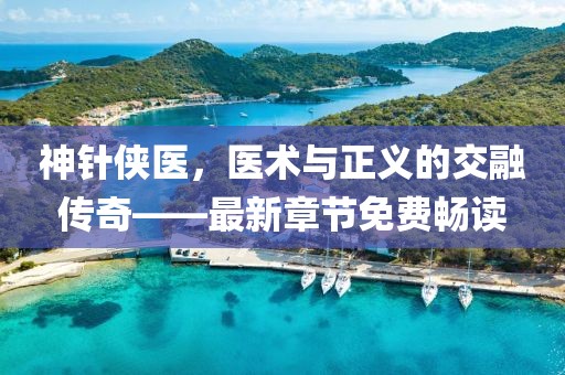 神針俠醫(yī)，醫(yī)術(shù)與正義的交融傳奇——最新章節(jié)免費(fèi)暢讀