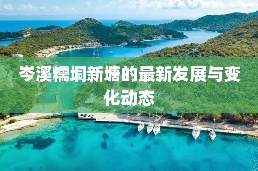 岑溪糯垌新塘的最新發(fā)展與變化動態(tài)