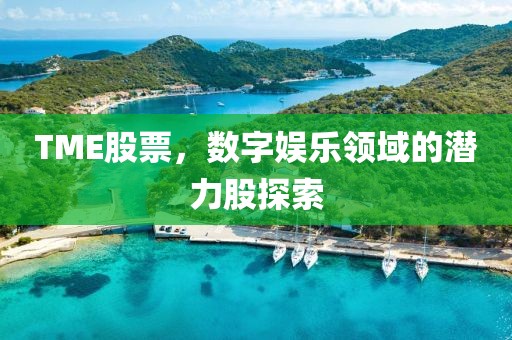 TME股票，數(shù)字娛樂(lè)領(lǐng)域的潛力股探索