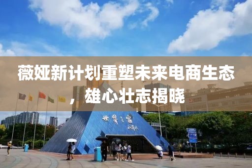 薇婭新計劃重塑未來電商生態(tài)，雄心壯志揭曉