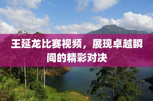 王延龍比賽視頻，展現(xiàn)卓越瞬間的精彩對決