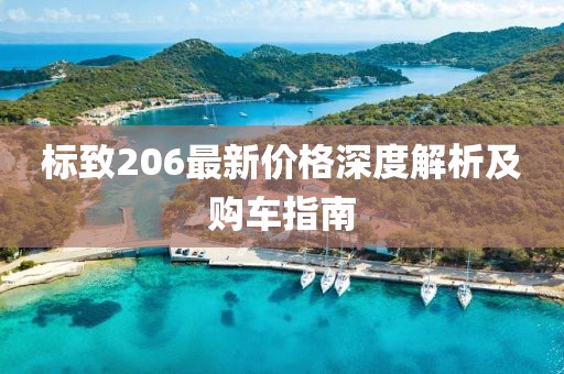 標(biāo)致206最新價(jià)格深度解析及購(gòu)車指南