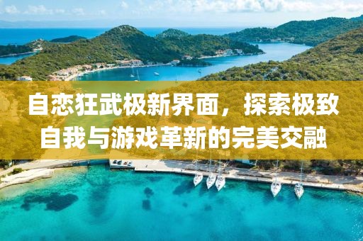 自戀狂武極新界面，探索極致自我與游戲革新的完美交融