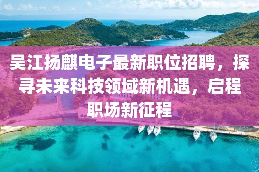 吳江揚(yáng)麒電子最新職位招聘，探尋未來(lái)科技領(lǐng)域新機(jī)遇，啟程職場(chǎng)新征程