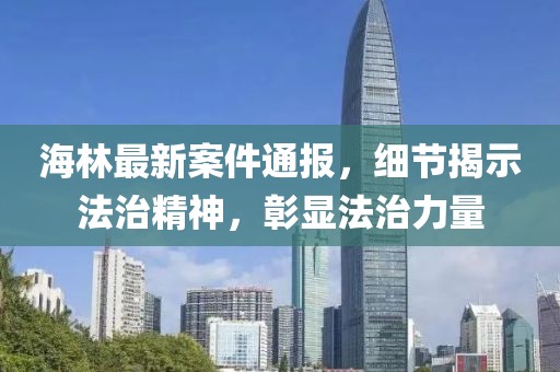 海林最新案件通報，細節(jié)揭示法治精神，彰顯法治力量