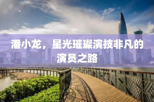 潘小龍，星光璀璨演技非凡的演員之路