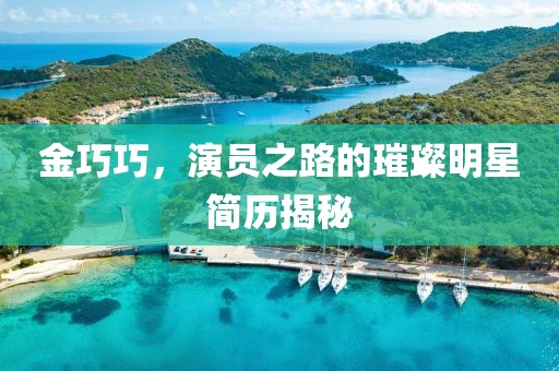 金巧巧，演員之路的璀璨明星簡歷揭秘