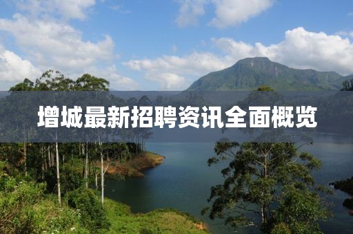 增城最新招聘資訊全面概覽
