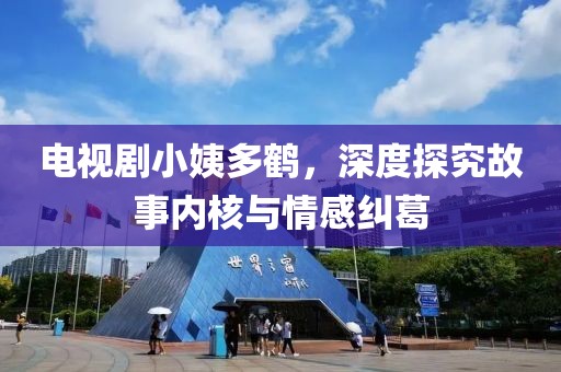 電視劇小姨多鶴，深度探究故事內(nèi)核與情感糾葛
