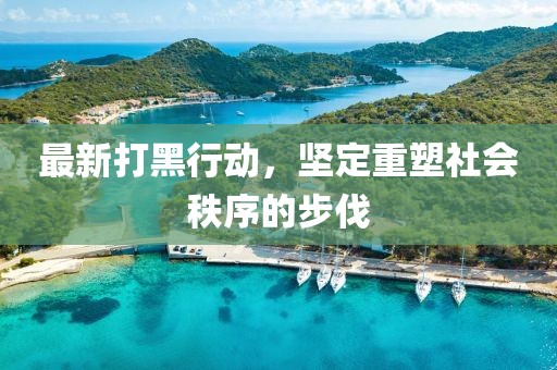 最新打黑行動(dòng)，堅(jiān)定重塑社會(huì)秩序的步伐